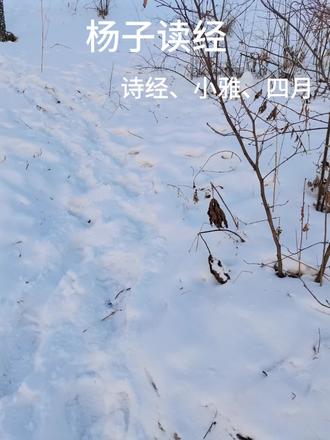 每日一经!
《四月》,此诗以季节的自然变化来表达西周末被放逐南方荒无之地的士大夫及政治失势失的权贵们的忧愤和对国家命运担忧!诗中:“四月维夏,六月徂暑,秋日凄凄,冬日烈烈”,转而灵魂烤问:“先祖匪人?胡宁忍予!乱离瘼矣,爰其适归?民莫不穀,我独何害?”个人或家族的命运置于宇宙和时间维度的拷问,这种表达手法成为后人效仿模板!(如:苏东坡的水调歌头、与诗中“匪鳣鹑匪鸢,翰飞戾天,匪鳣匪鲔,潜逃于渊。表现手法值得品味”)。此同同时暗示了西周时期官僚体制的危机及崩塌。西周实行的是世官制,贵族通过“策命”获得官职,在西周末期政治腐败和政治斗争加剧中,贵族命运,遭遇失势,流放,成为常态。同时也反应了贵族阶层在时代裂变中的精神困境。
感恩孔子及弟子编辑!