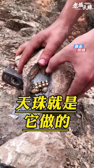 天珠就是它做的#天珠鉴定 #天珠#至纯天珠#藏传文玩#天珠知识讲解