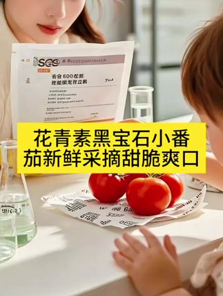 【花青素】黑宝石小番茄 新鲜采摘 甜脆爽口 小卖家精心之选#快来一起尝个鲜 #强烈推荐 #应季水果 #健康蔬菜 #营养丰富 @抖加🔥上热门🔥dou+🔥热点宝 @DOαu十小助手