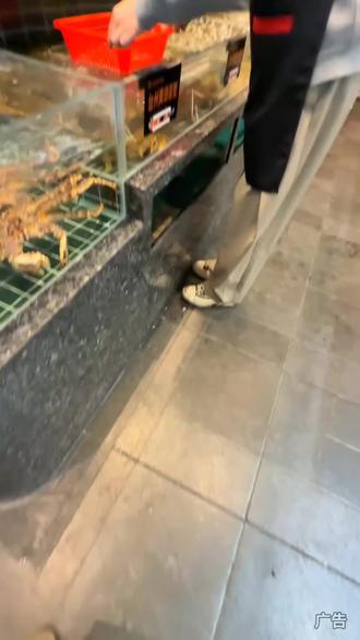 必抢‼️超好吃的台州半岛开到大莲花对面了‼️新店开业上了59代100的券,单次可用3张‼️好好吃啊#心动榜餐厅 #台州美食 #北上超惠吃 #遛娃好去处 #比会吃更惠吃