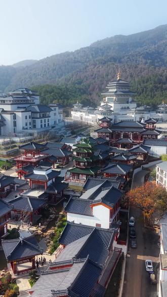 杏林春暖迎新春,我在九江庐山找到了一片杏林秘境。#在庐山找到了一片杏林秘境#全家总动员庐山过大年#庐山杏林文化园 #新年第一站