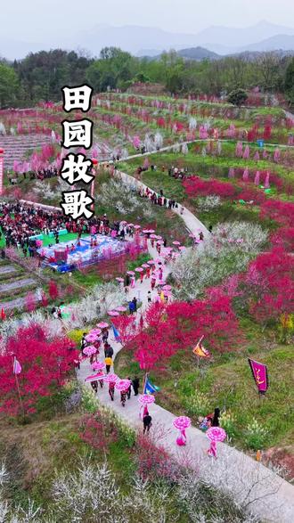 北川永昌第三届桃花节找鸟票只需要¥9.9 赶紧约起来来赏花拍照打卡,看民俗表演徒步拿奖牌耍一天得很#绵阳周边游#北川永昌第三届桃花节#又到了拍花的季节 #踏青赏花正当时 @DOU+小助手