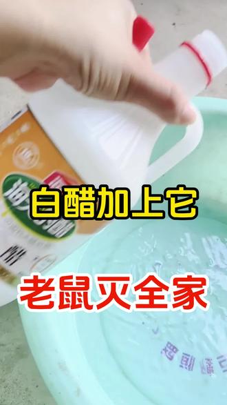 白醋加上它,老鼠灭全家#灭鼠 #灭鼠方法
