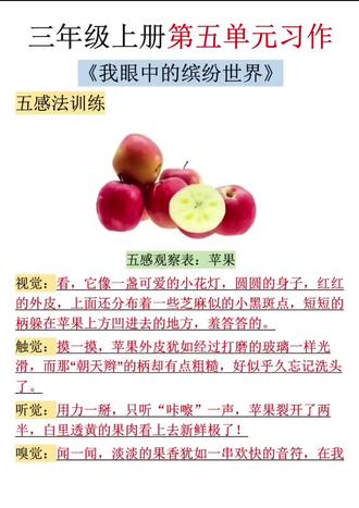 三年级上册语文习作五感法专项训练#三年级上册语文#写作