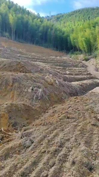 #骏马闹元宵贺卡 新年伊始,喜乐安宁