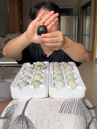 #皮蛋#松花蛋#无铅皮蛋 #超便宜超划算 #强烈推荐
