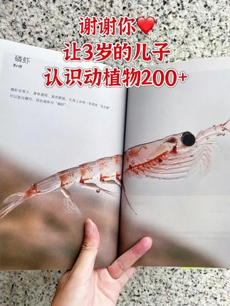 哇!3岁就能看的自然百科书🔥。高清大图实拍,视觉冲击力堪比纪录片感叹,真实还原大自然的每一个瞬间!被科普喂大的孩子,眼界、思维、能力都大不一样#科普 #大自然百科 #科普知识#童书推荐 #亲子阅读