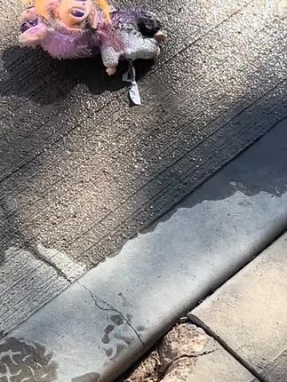 实至名归#拉布布 #制裁