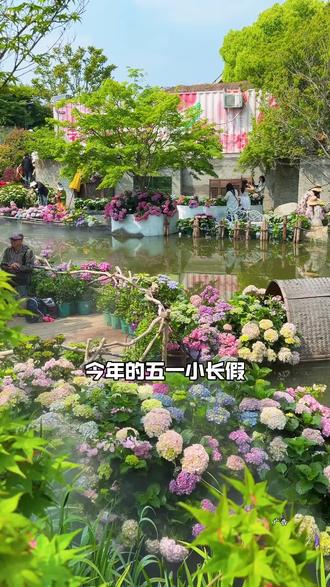 五一通用‼️2026无锡玫瑰花海露营节五一在花星球正式开幕!假期快带上家人孩子一起来打卡超浪漫的玫瑰、月季还有绣球花吧,现在双人票很划算✅先囤不来随时可以退的!#镜头里的春日美景 #五一去哪儿 #五一假期 #亲子游玩好去处 #遛娃好去处