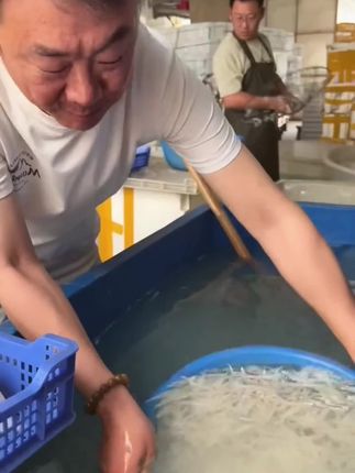 #银鱼