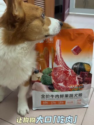 心粮牛肉鲜果蔬全价全期益生元无谷狗粮 让狗狗大口吃肉 天然软骨素呵护关节让爱犬每一口都吃得满足又健康#心粮 #心粮狗粮 #漯河乌托邦动物救助站 #领养代替购买 #救助流浪狗