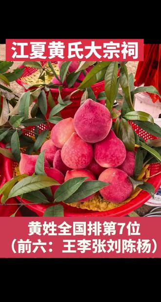 黄氏起源
黄氏起源于河南信阳横川县,当时叫黄国,黄国建于夏朝时期。公元前648年,楚国吞并黄国,黄国百姓以黄为姓,部分黄氏后人生活在黄国故地也就是河南横川县,一支黄国后人迁入楚国现湖北武汉江夏,经历几百年发展,黄歇当任楚国宰相,被封春申君,各地黄氏以黄歇为荣耀,各地黄氏后人分分聚集江夏,结束长期分散局面,江夏成了黄氏繁衍的中心, 江夏成为黄氏第二故乡,并以江夏为号成立江夏堂。
天下黄姓出江夏
万派朝宗江夏黄
清明前夕🙏🙏🙏🙏🙏🙏
参拜湖北武汉“江夏黄氏大宗祠”!