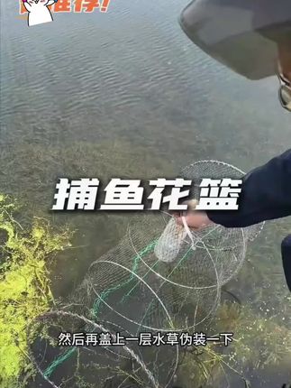 厂家直销6股线全竹网篮专用捕鱼花篮黑鱼甲鱼专用捕鱼(规格*55)#户外钓鱼 #渔网 #捕鱼花篮 #路亚野钓