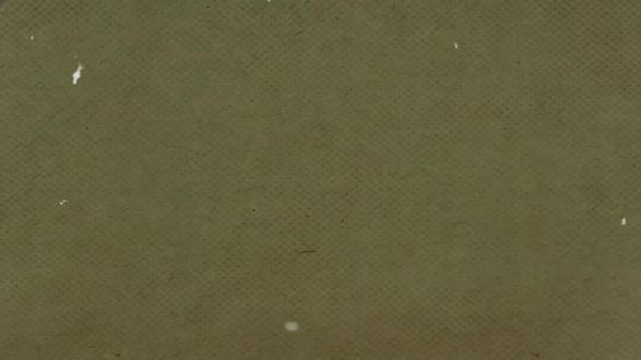 你知道成语:自惭形秽背后的故事吗?#历史 #成语 #自惭形秽 #王济 #历史科普