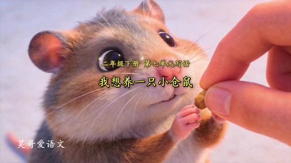 二年级语文下册|第七单元|写话|我想养小动物范文#二年级 #二年级语文下册#写话范文#作文#我想养小动物