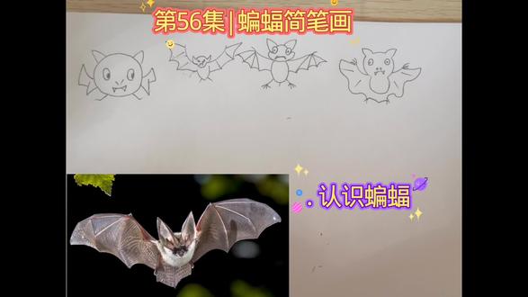 第56集|蝙蝠简笔画,教你画可爱的蝙蝠系列 #简笔画教程 #手绘 #纸绘 #真实生活分享计划 #有趣的知识又增长了