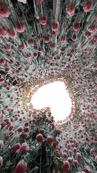 来法台山感受浪漫的爱心冰瀑玫瑰#爱心冰瀑 #冰封玫瑰