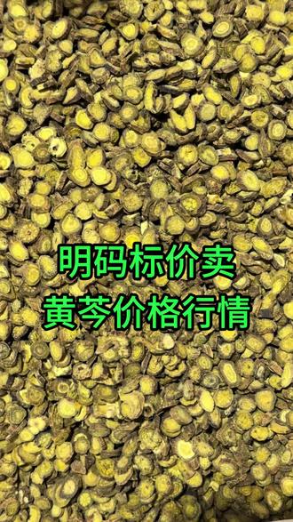 黄芩行情价格#黄芩 #黄芩价格 #黄芩片 #黄芩行情 #中药材黄芩