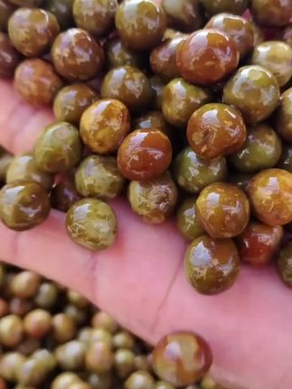 鸡头籽的季节来了,价格实惠想吃的可以看看吧#鸡头籽#芡实果