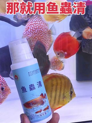 要想鱼养得好,那就用鱼蟲清#鱼虫清#养鱼日记 #养鱼日记 #养鱼人 #观赏鱼 #养鱼日志