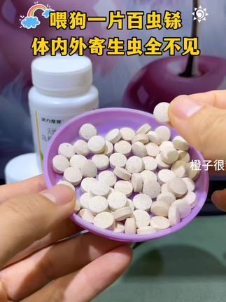 #狗狗为了出去玩能做什么 #萌宠出道计划 #萌宠 #狗狗的心思都写在脸上了 #狗狗