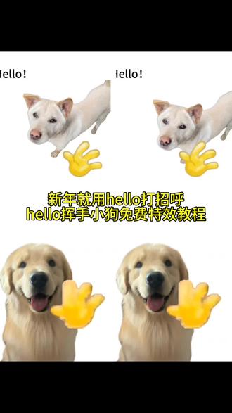 hello挥手小狗免费特效教程 新年就用hello打招呼教程来啦 #hello挥手动作的动画 #小猫hello怎么做 #hello小猫动态图 #新年就用hello打招呼 #剪映 hello小猫表情包制作教程,hello猫模板下载,hello猫模板怎么用,hello猫表情包,hello猫动态壁纸,hello猫背景图,hello猫手机壁纸,hello猫图片大全,hello猫使用教程,hello哈基米
hello小猫表情包制作教程 hello挥手小狗免费特效制作入口 hello猫模板下载 hello猫模板怎么用 hello猫表情包 hello猫动态壁纸 hello猫背景图
hello猫手机壁纸 hello猫图片大全 hello猫使用教程
hello哈基米