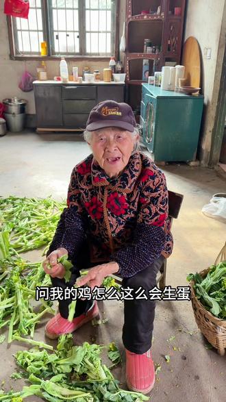 分享我平时喂鸡的方法(完整版)