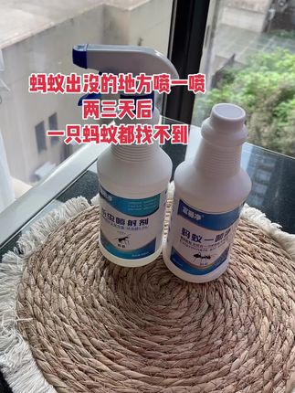 蚂蚁出没的地方喷一喷两三天后一只蚂蚁都找不到#蚂蚁 #蚂蚁窝 #灭蚂蚁神器 #蚂蚁一锅端