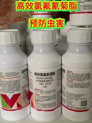 #三农种植 #除害虫妙招 #种植小技巧