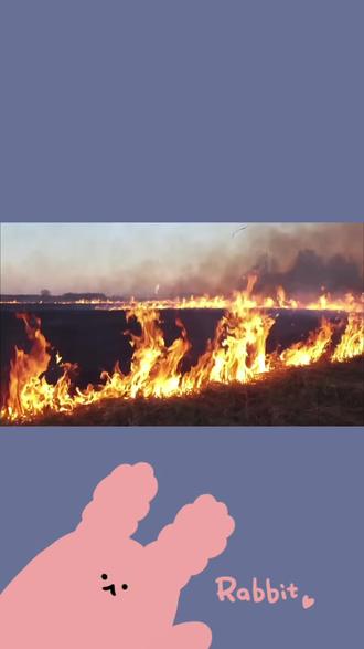 #古诗词的魅力 二年级必背古诗《赋得古原草送别》预习释义讲解