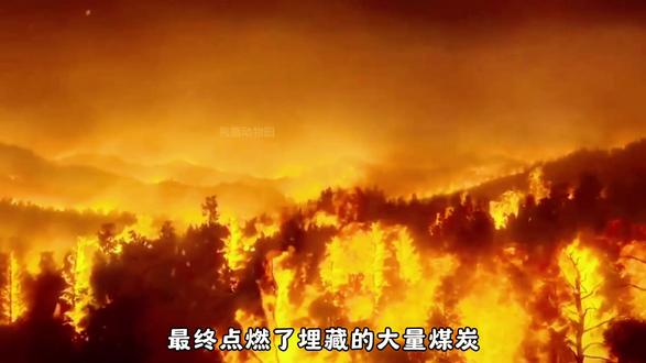 远古时期1米的蜻蜓,3米的蜈蚣,从霸主到灭绝-显生宙二 #古生物 #远古生物 #奥陶纪 #纪录片 #抖音硬核版