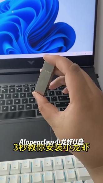 AIopenclaw小龙虾U盘智能便捷新安装即插即用本地部署