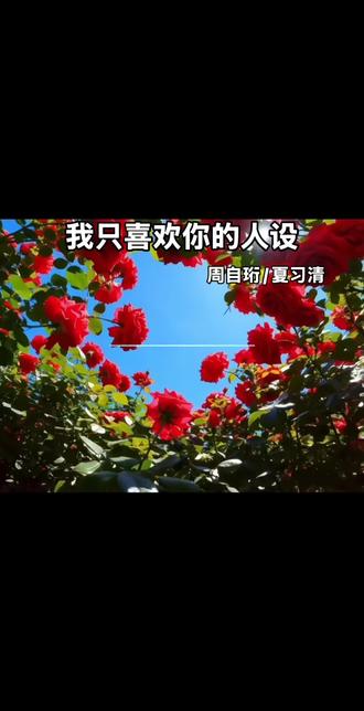 #我只喜欢你的人设 #周自珩 #夏习清“我们生来就是为了成为自己,而不是成为所谓的正常人”