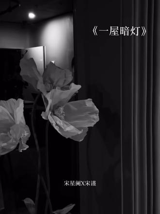 #一屋暗灯#宋星阑#宋谨
yp隔壁xiao阳.