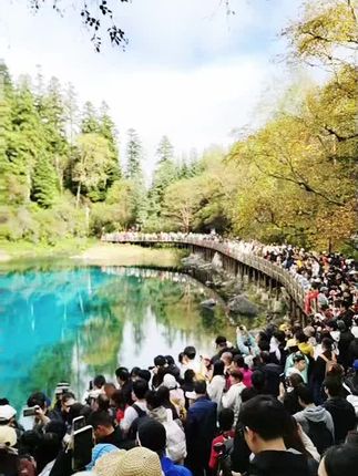 秋日的九寨沟美如画,人潮却比风景更壮观 🍁人流。#九寨沟 #秋游记