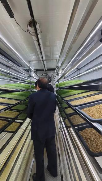 牧草也能这样种?!太牛了!#水培牧草 #牛羊饲草 #高端牛肉 #牛羊饲草 #水培牧草设备