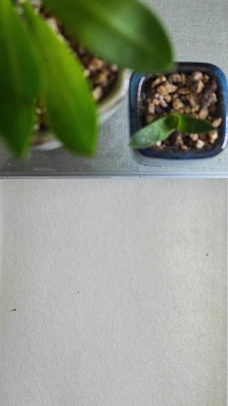 #看看你画的简笔画 #每日一画 #简笔画
今天分享一只简笔画松鼠🐿