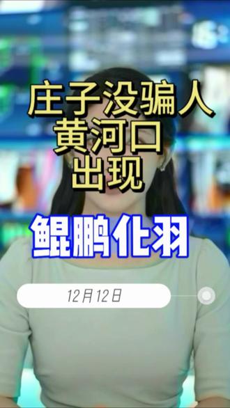 #这一刻鲲鹏具象化了 黄河口出现鲲鹏化羽,庄子没说错!!!#黄河口 #庄子 #古诗词 #北冥有鱼其名为鲲