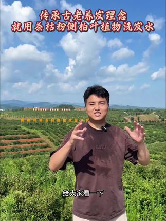 你记得自己有多久没用茶枯粉来洗发养发了?#洗发水 #草本植物#三农流量扶持计划 #茶枯粉洗头