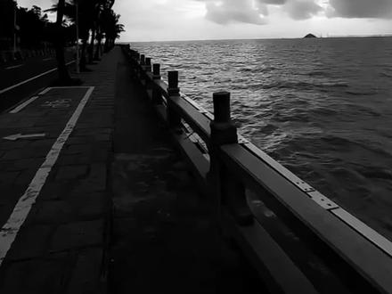 耽美好好走下去#热门 #荒野植被#跌落暮色