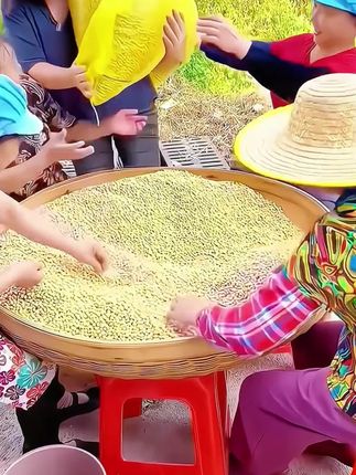 东北黄豆#五谷杂粮 #黄豆 #粗粮 #豆子#黄豆的营养价值