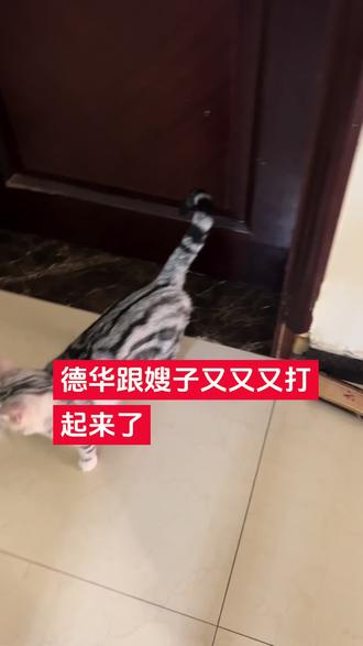 本来我说给它俩澄清一下打架的事情呢,这下好了 说不清了….谁对谁谁错 这下知道了吧。这俩就是一会儿好了,一会儿打起来,也不是说压根儿见不了面,还都想带娃,又抢孩子,也能互相帮忙带孩子,总的来说,孩子能共同带,但是互相看不惯对方。