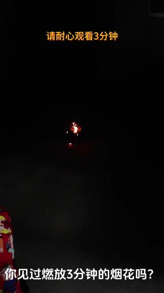 15元买的3分钟烟花,真的燃放了3分钟,#真实生活分享计划 #3分钟 #烟花#大年初一