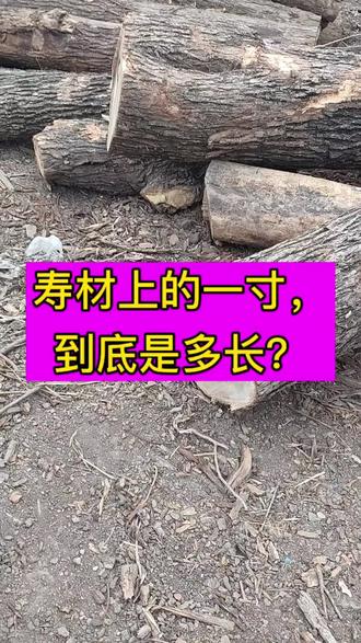 寿材加工中,1寸等于几厘米?
#寿材加工厂
