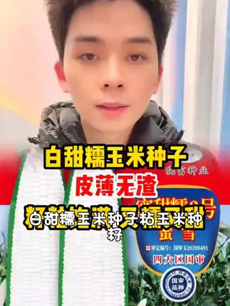 白甜糯玉米种子粘玉米种籽四季播种皮薄无渣非转基因蜜雪苞米种孑#手机摄影创意玩法 #尼康国补 #单反追焦拍摄技巧 #室外拍照姿势大全