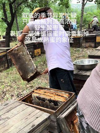 喜欢吃蜂蜜一定要尝一尝农家自产的天然原蜜#天然蜂蜜 #酸枣蜜 #枣花蜜 #纯天然无添加 #强烈推荐