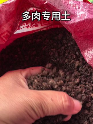 多肉土 #原创视频 #多肉 #多肉植物
