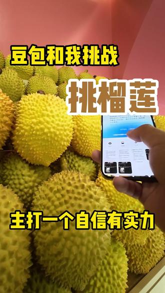 豆包选榴莲,比我@阿昆|禧榴哆哆榴莲 这从业十年的老炮还牛吗?
#榴莲怎么选 #开榴莲 #报恩榴莲 #豆包挑榴莲 #禧榴哆哆
