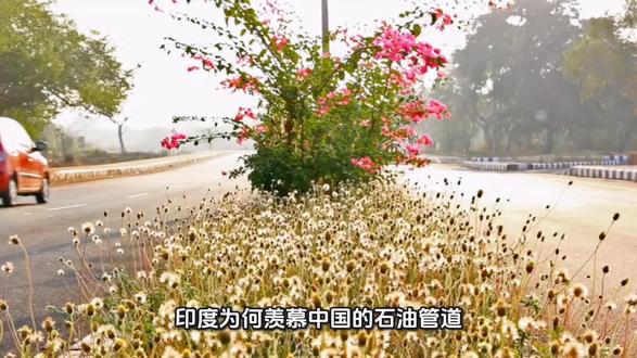 印度为什么羡慕中国的石油管道#林州县 #浙江绍兴上虞 #台州人民 #桥梁施工