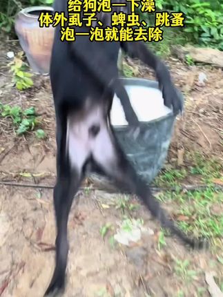 当你无法控制对孩子的发火时,请听听这段话!#育儿经验分享 #家长必读 #亲子教育 #正确的引导孩子陪伴孩子